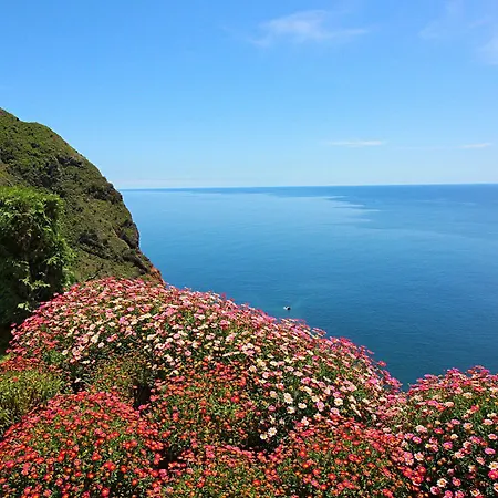 Morning Star Villa Arco da Calheta (Madeira)